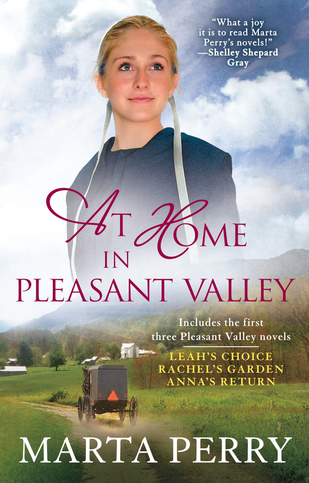 At Home in Pleasant Valley (Pleasant Valley) book cover by Marta Perry