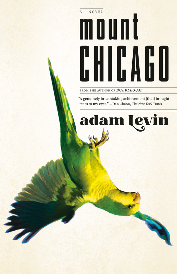 Mount Chicago: A Novel book cover by Adam Levin