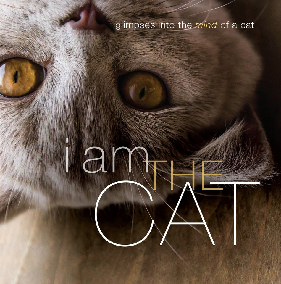 I Am the Cat book cover by Liz Abeler Blaylock