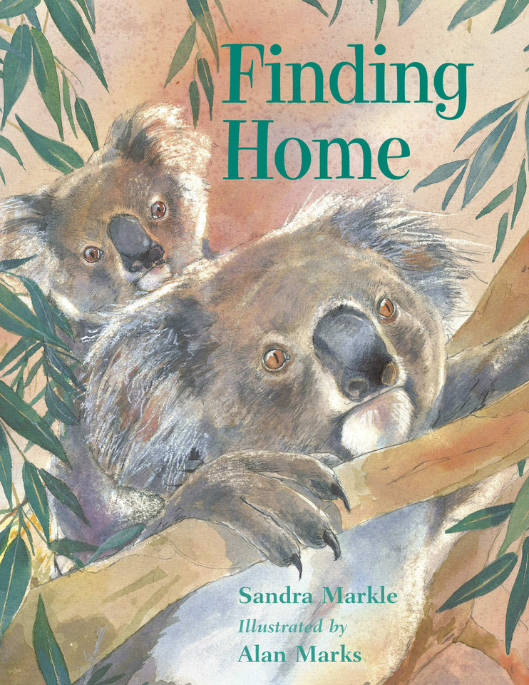 Finding Home book cover by Sandra Markle