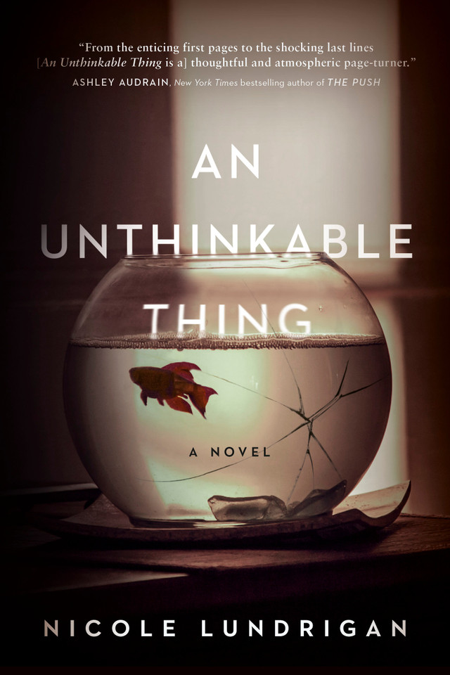 An Unthinkable Thing book cover by Nicole Lundrigan