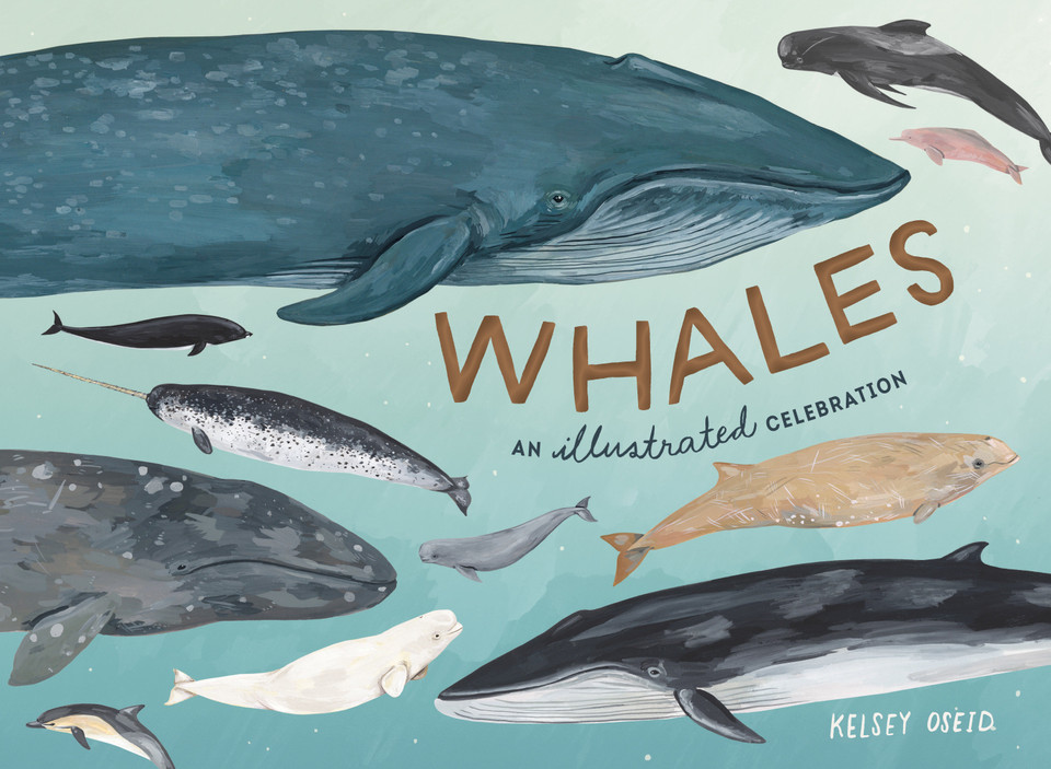 Whales: An Illustrated Celebration book cover by Kelsey Oseid