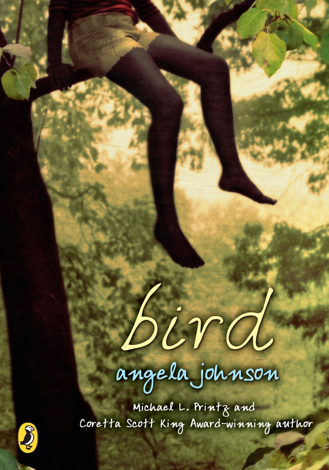 Bird book cover by Angela Johnson