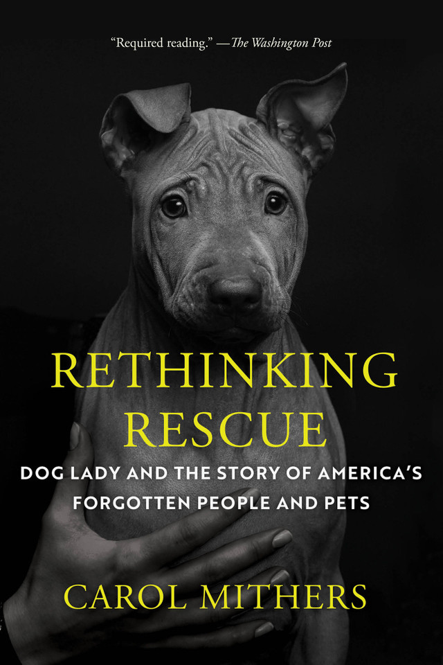 Rethinking Rescue: Dog Lady and the Story of America's Forgotten People and Pets book cover by Carol Mithers