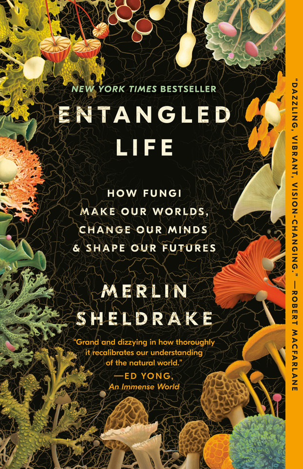 Entangled Life: How Fungi Make Our Worlds, Change Our Minds & Shape Our Futures book cover by Merlin Sheldrake