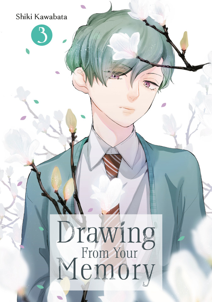 Drawing From Your Memory 3 (Drawing From Your Memory) book cover by Shiki Kawabata