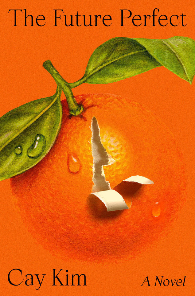 The Future Perfect: A Novel book cover by Cay Kim