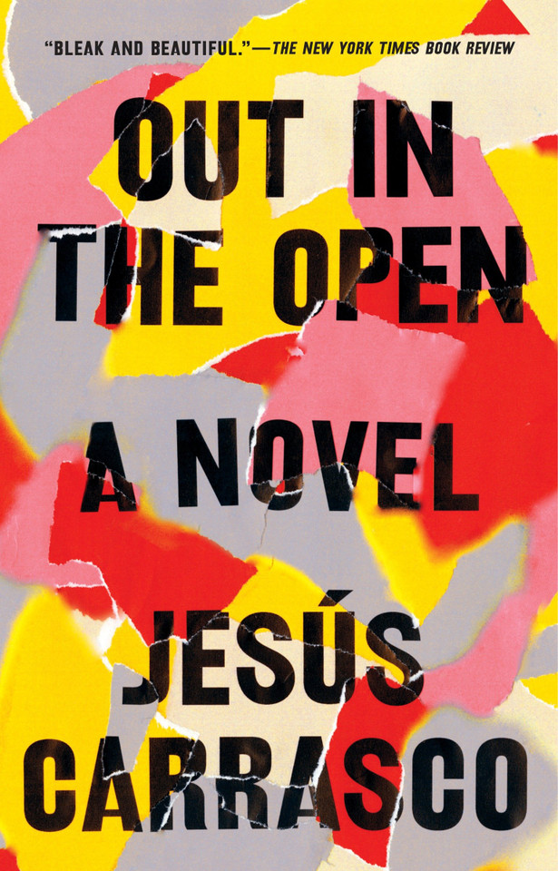 Out in the Open: A Novel book cover by Jesús Carrasco