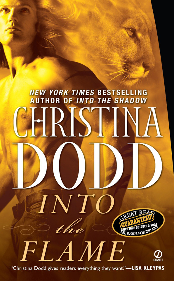 Into the Flame: Darkness Chosen (A Darkness Chosen Novel) book cover by Christina Dodd