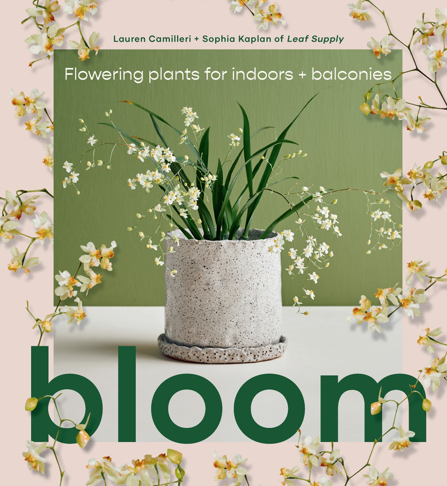 Bloom: Flowering Plants for Indoors and Balconies book cover by Lauren Camilleri, Sophia Kaplan