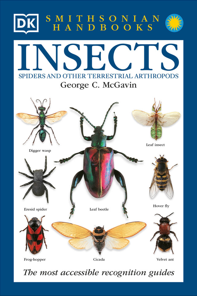 Insects: The Most Accessible Recognition Guide (DK Handbooks) book cover by George C. McGavin