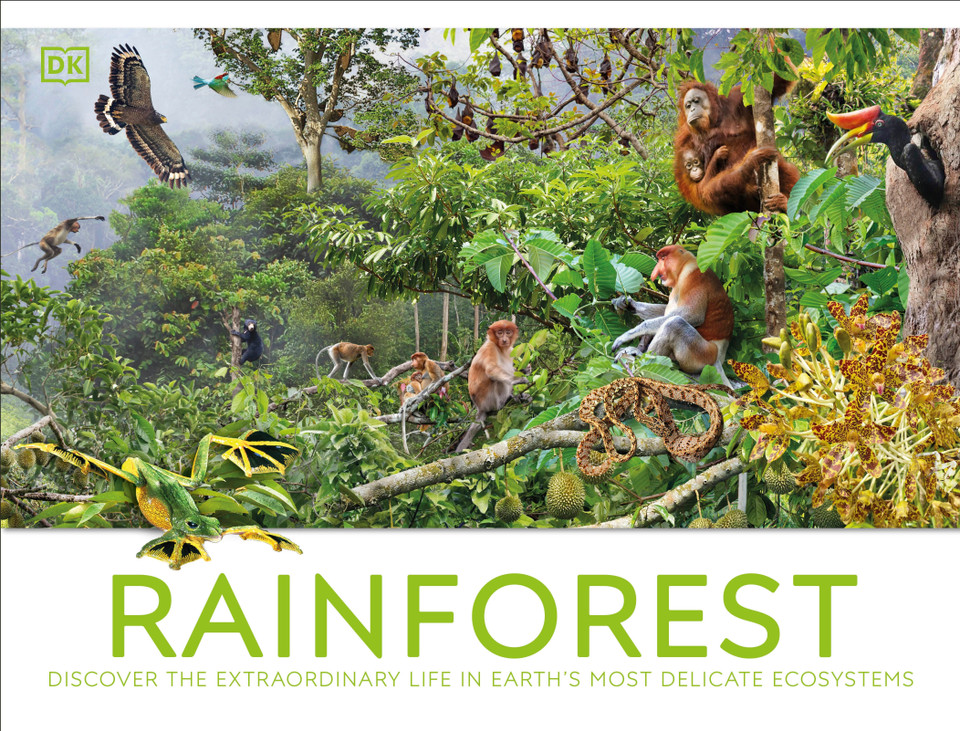Rainforest book cover by DK