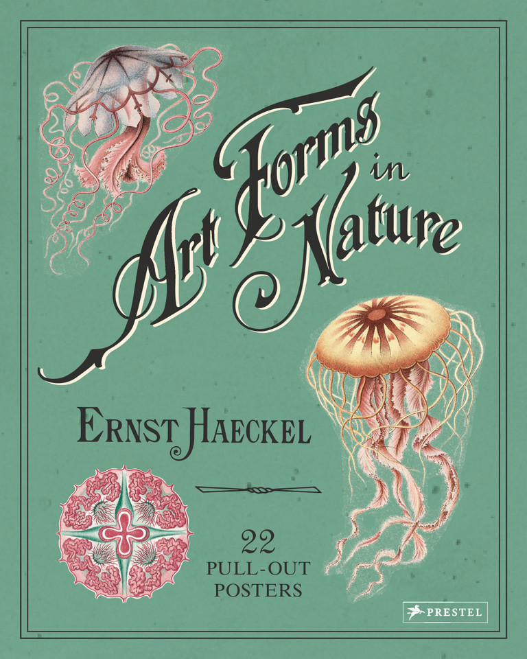 Art Forms in Nature: 22 Pull-Out Posters book cover by Ernst Haeckel