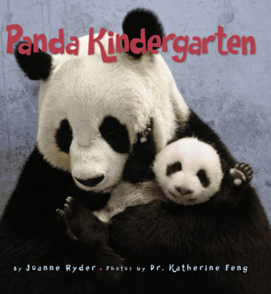 Panda Kindergarten Cover Panda Kindergarten Cover
