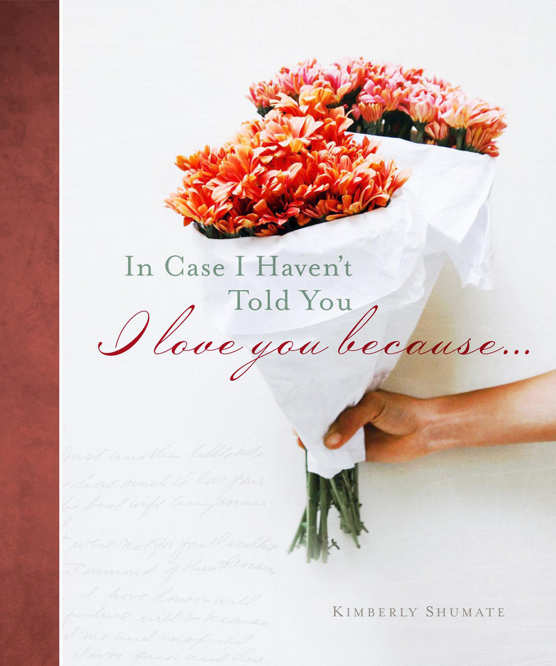 In Case I Haven't Told You book cover by Kimberly Shumate