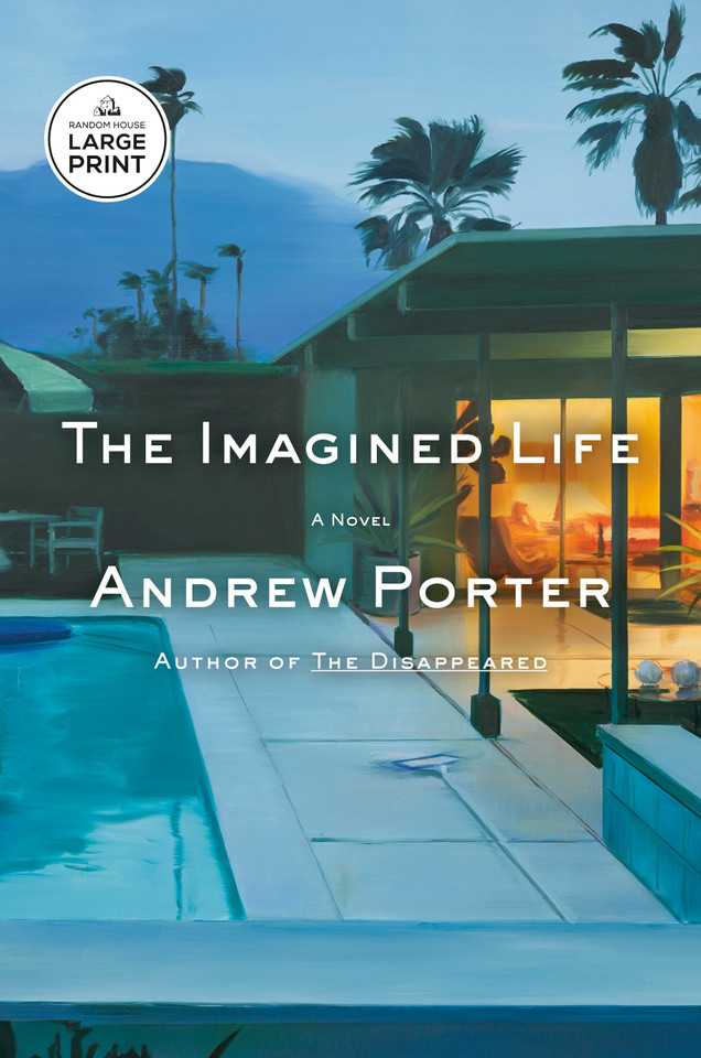 The Imagined Life: A Novel book cover by Andrew Porter