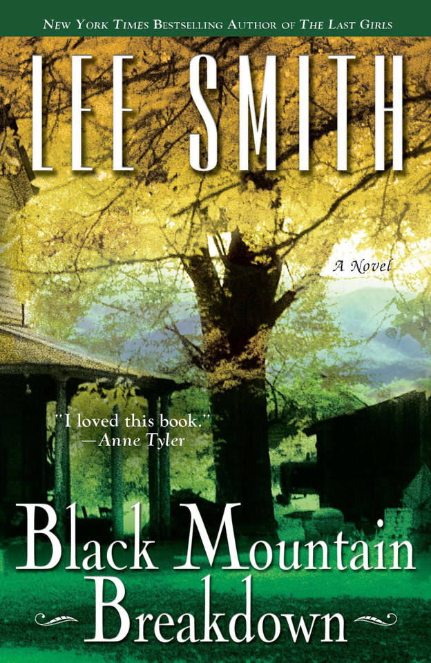 Black Mountain Breakdown book cover by Lee Smith