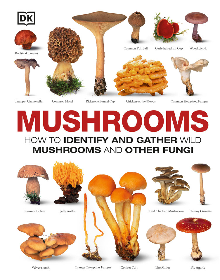 Mushrooms: How to Identify and Gather Wild Mushrooms and Other Fungi book cover by DK
