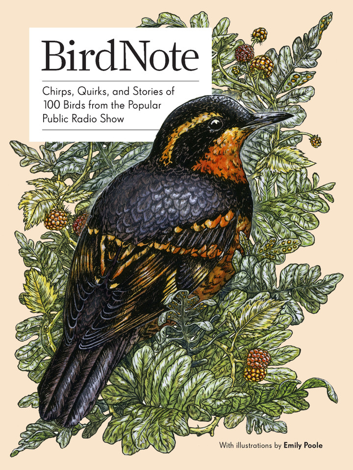 BirdNote: 100 Illustrated Bird Stories to Inspire Your Bird Watching book cover by BirdNote