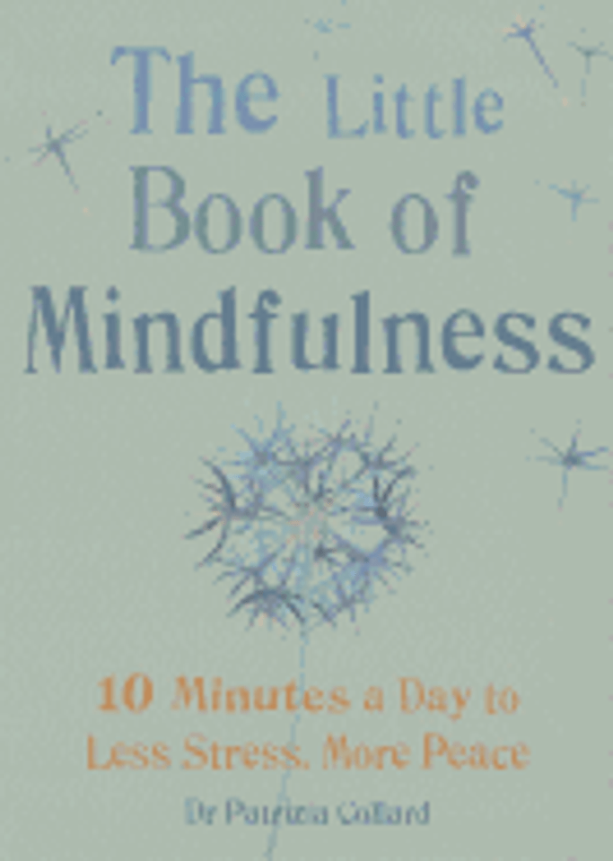 Little Book of Mindfulness: 10 Minutes a Day to Less Stress, More Peace Cover Little Book of Mindfulness: 10 Minutes a Day to Less Stress, More Peace Cover