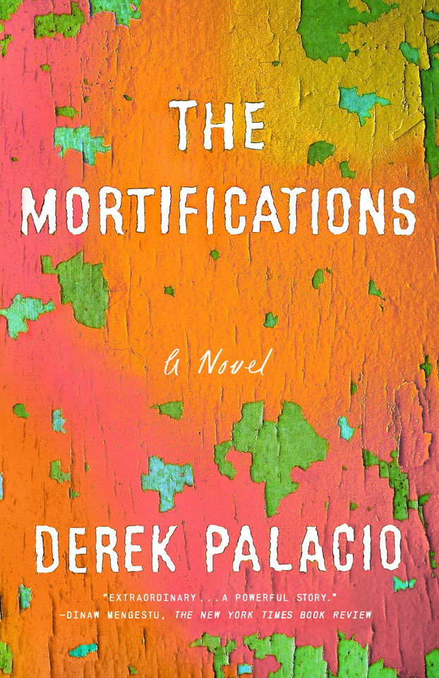 The Mortifications: A Novel book cover by Derek Palacio