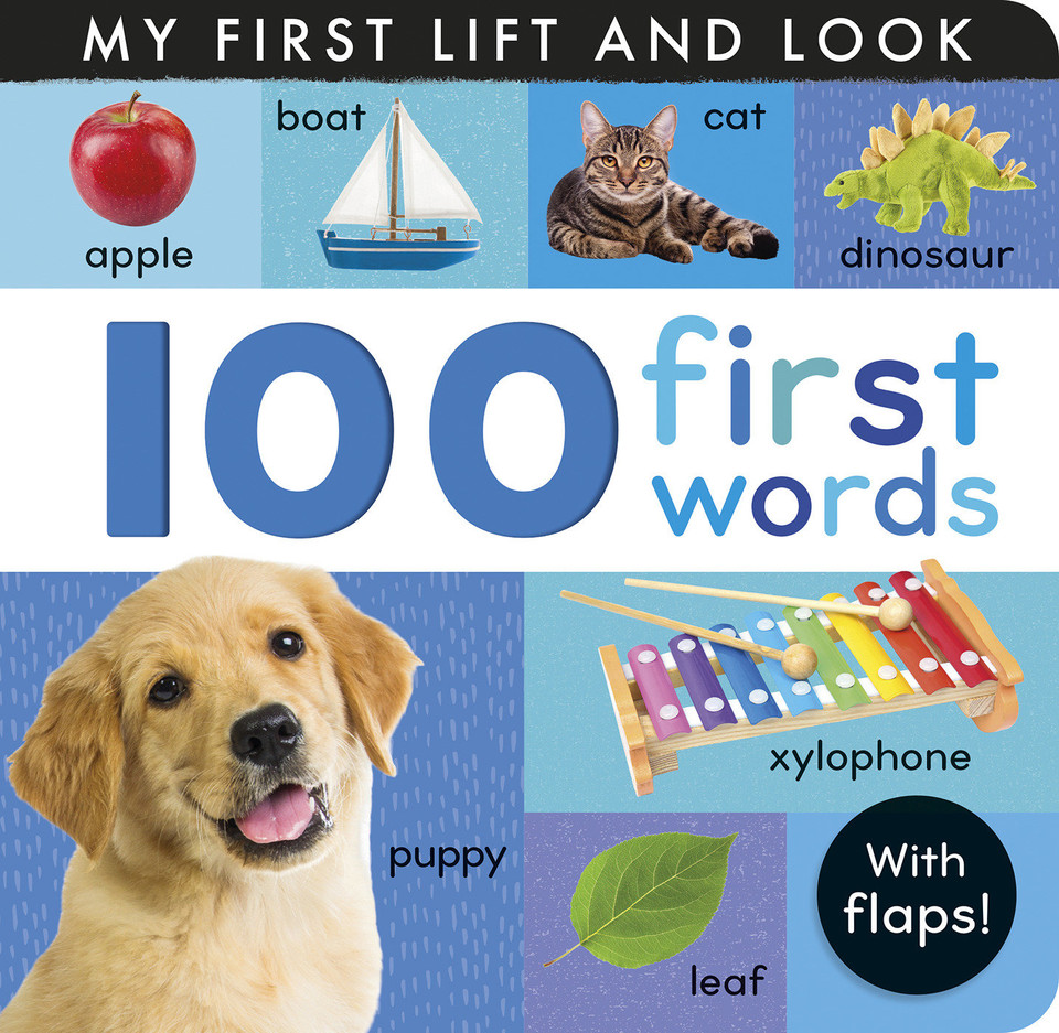 100 First Words: My First Lift and Look (with Flaps) (My First) book cover by Hettie Cox