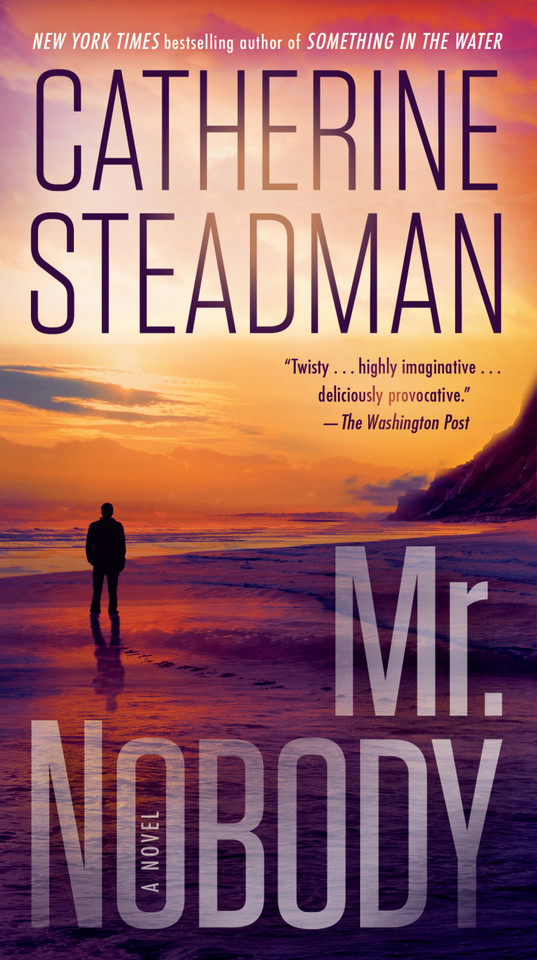 Mr. Nobody: A Novel book cover by Catherine Steadman