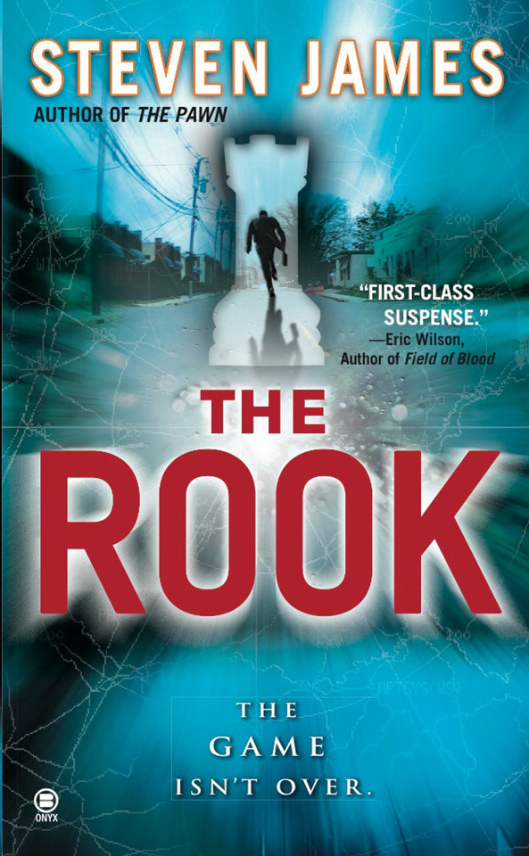 The Rook (The Bowers Files) book cover by Steven James