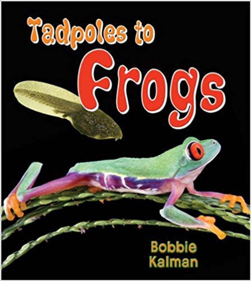 Tadpoles to Frogs ( It's Fun to Learn about Baby Animals (Paperback) ) Cover
