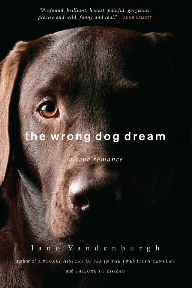 The Wrong Dog Dream: A True Romance book cover by Jane Vandenburgh
