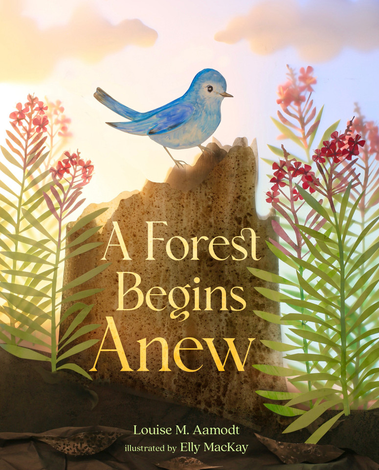 A Forest Begins Anew book cover by Louise M. Aamodt