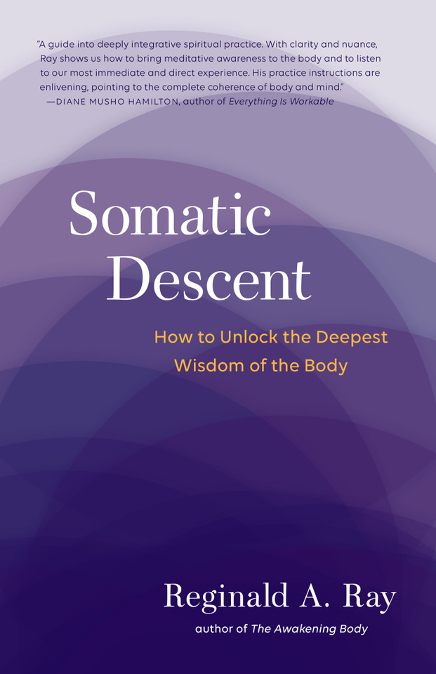 Somatic Descent: How to Unlock the Deepest Wisdom of the Body book cover by Reginald A. Ray