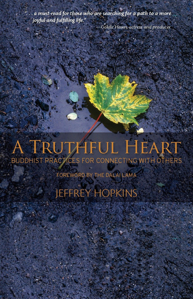 A Truthful Heart: Buddhist Practices for Connecting with Others book cover by Jeffrey Hopkins
