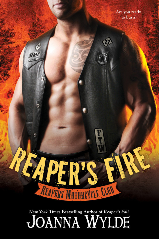 Reaper's Fire (Reapers Motorcycle Club) book cover by Joanna Wylde