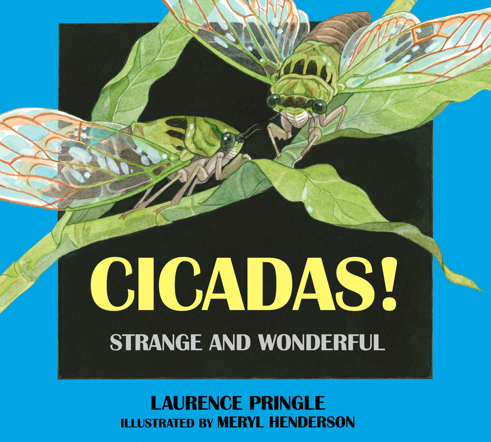 Cicadas!: Strange and Wonderful (Strange and Wonderful) book cover by Laurence Pringle