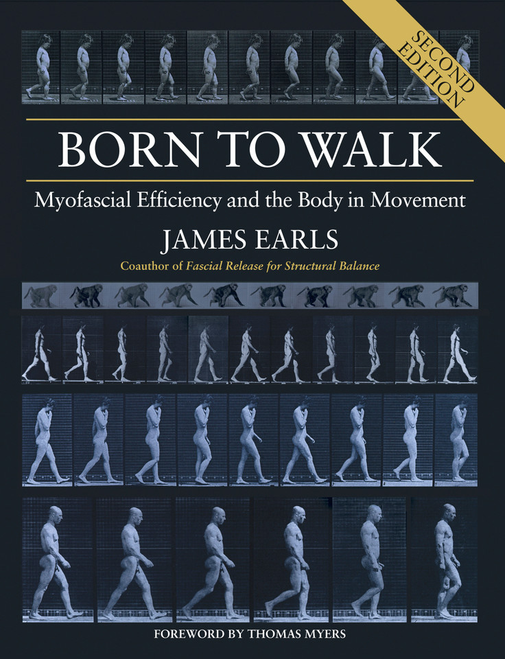 Born to Walk, Second Edition: Myofascial Efficiency and the Body in Movement book cover by James Earls