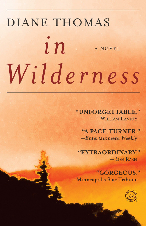 In Wilderness: A Novel book cover by Diane Thomas