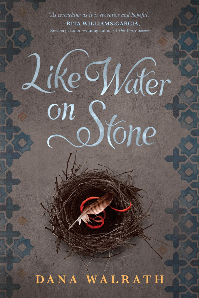 Like Water on Stone book cover by Dana Walrath