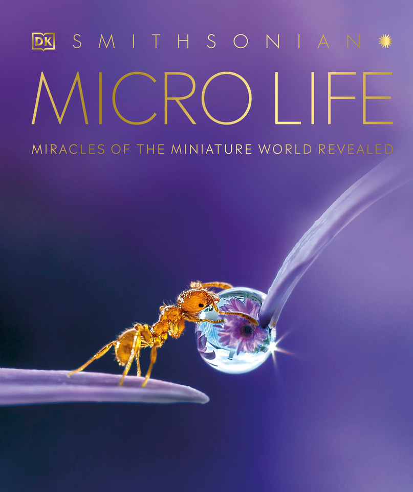 Micro Life: Miracles of the Miniature World Revealed (DK Secret World Encyclopedias) book cover by DK