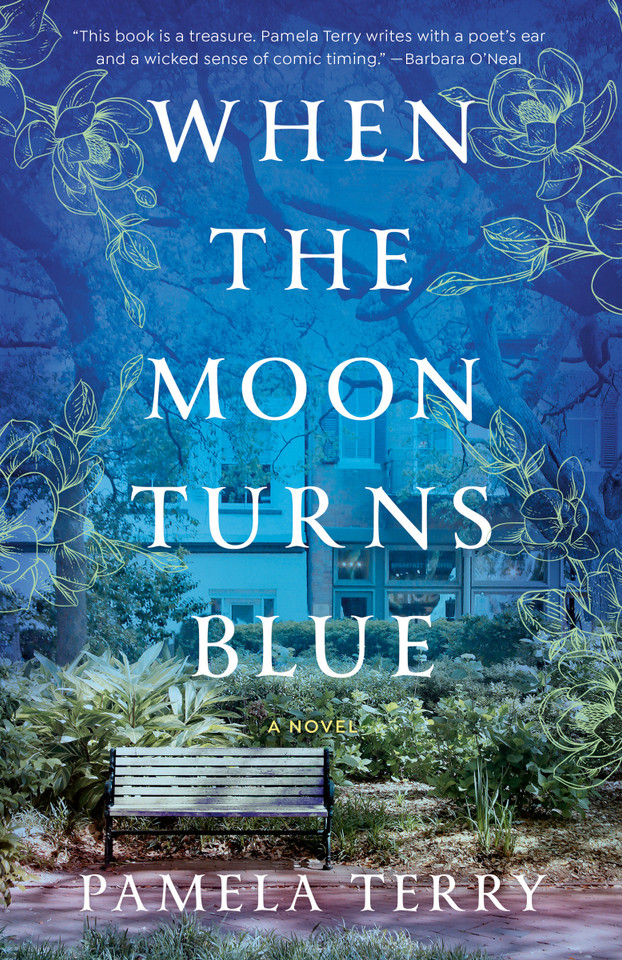 When the Moon Turns Blue: A Novel book cover by Pamela Terry