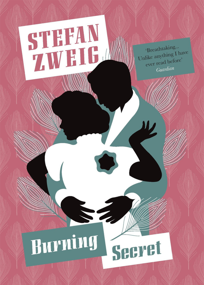 Burning Secret (Pushkin Collection) book cover by Stefan Zweig