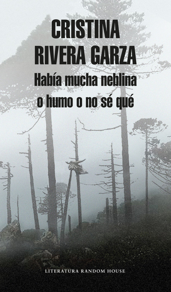Había mucha neblina o humo o no sé qué: Caminar con Juan Rulfo / There Was a Lot of Fog, or Smoke, or I'm Not Sure What: Walking with Juan Rulfo book cover by Cristina Rivera Garza