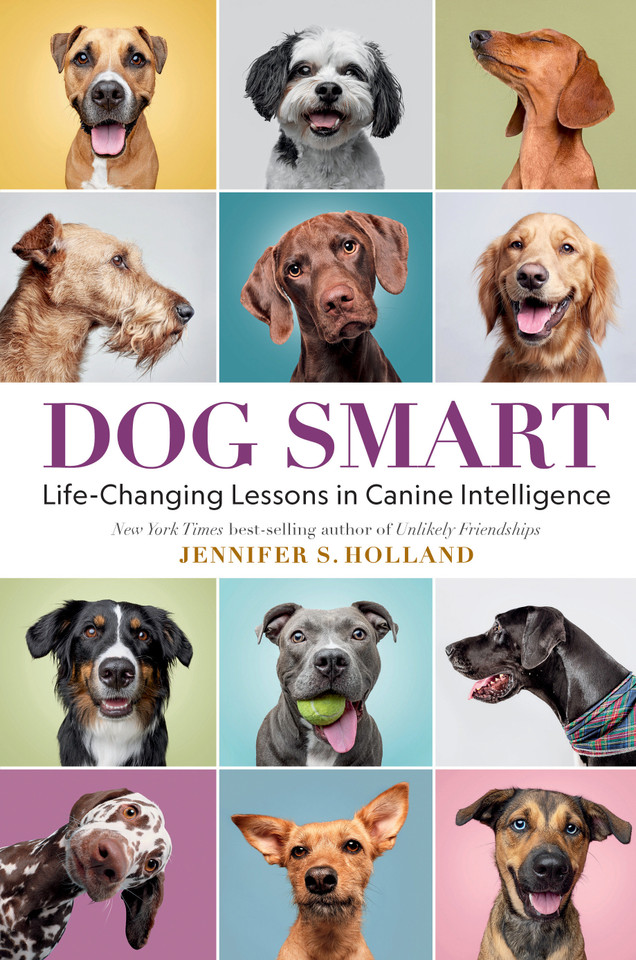 Dog Smart: Life-Changing Lessons in Canine Intelligence book cover by Jennifer S. Holland