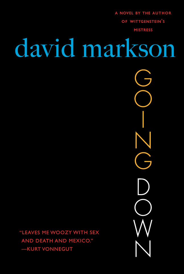 Going Down: A Novel book cover by David Markson