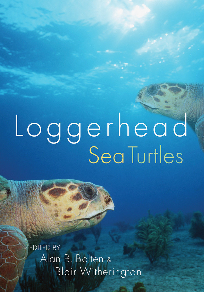 Loggerhead Sea Turtles book cover by 