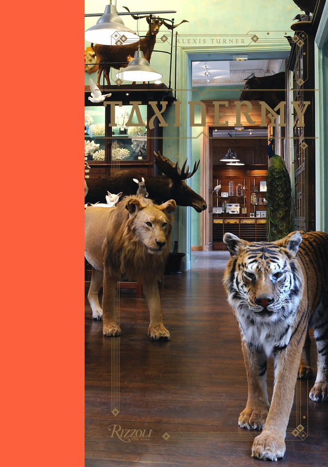 Taxidermy book cover by 