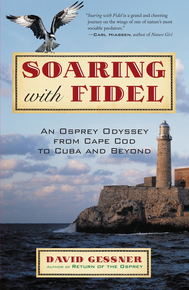 Soaring with Fidel: An Osprey Odyssey from Cape Cod to Cuba and Beyond book cover by David Gessner