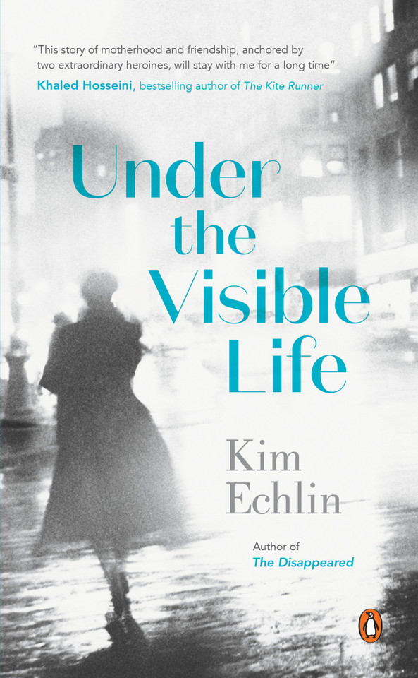 Under the Visible Life book cover by Kim Echlin