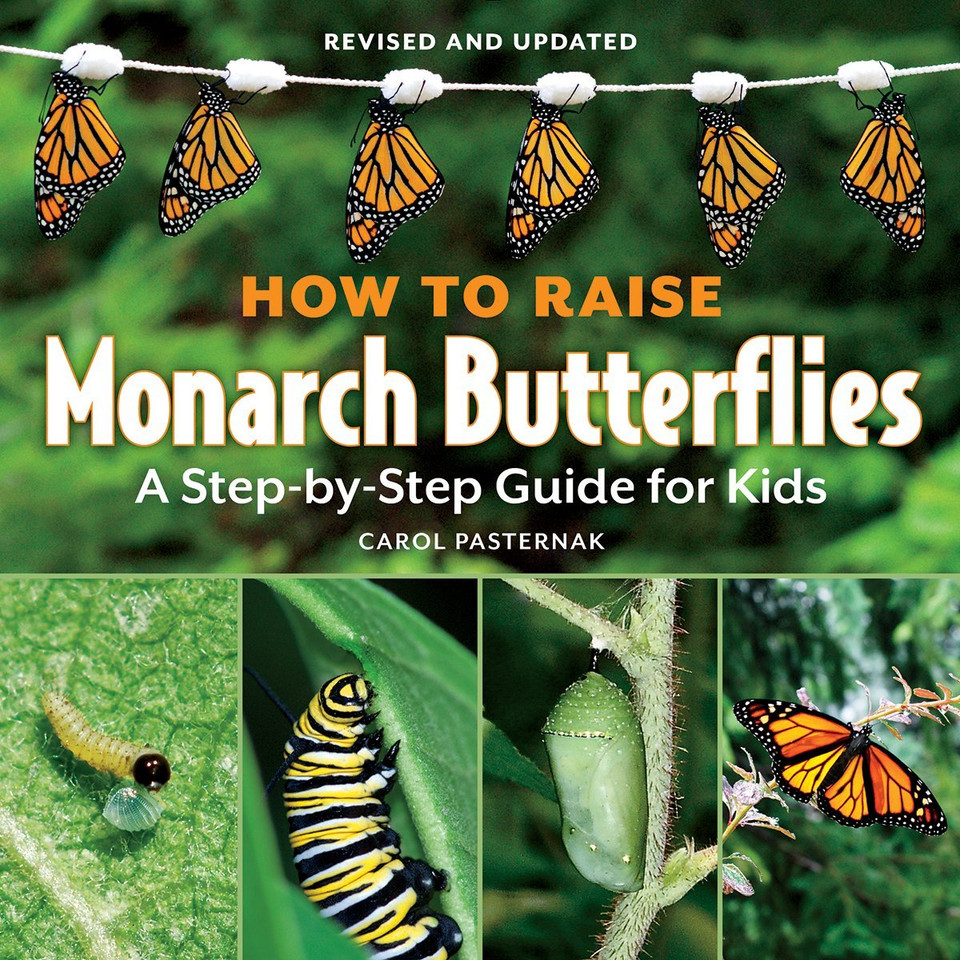 How to Raise Monarch Butterflies: A Step-By-Step Guide for Kids Cover