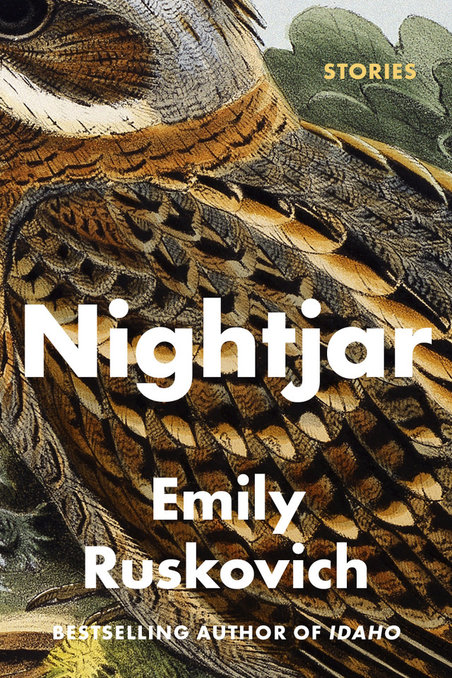 Nightjar: Stories book cover by Emily Ruskovich